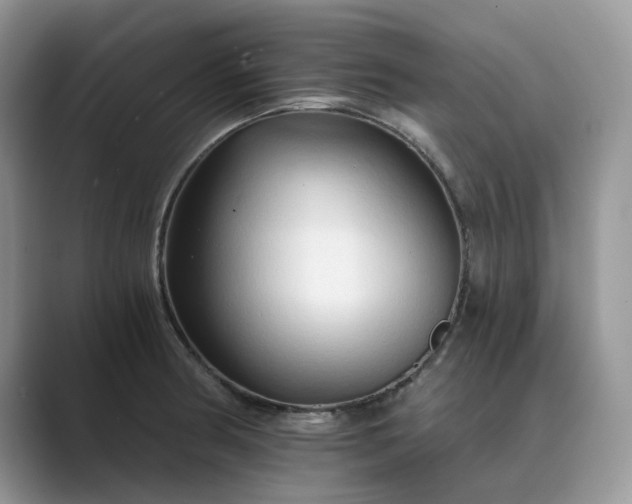 X0000089661186200707051524