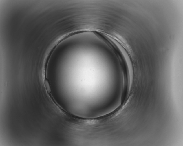 X0000089661188200707051524