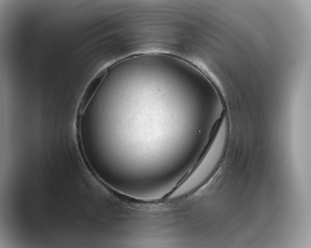 X0000089661189200707051524