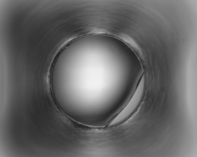 X0000089661190200707051524