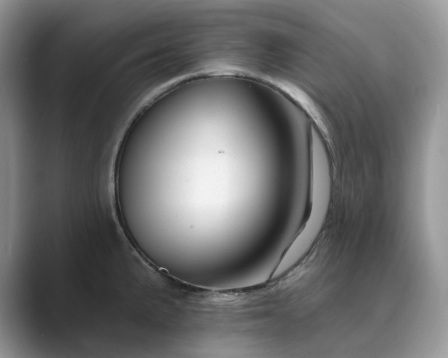 X0000089661191200707051524