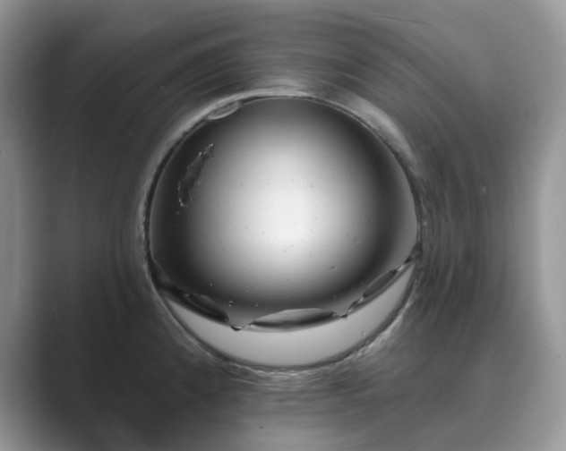 X0000089661192200707051524