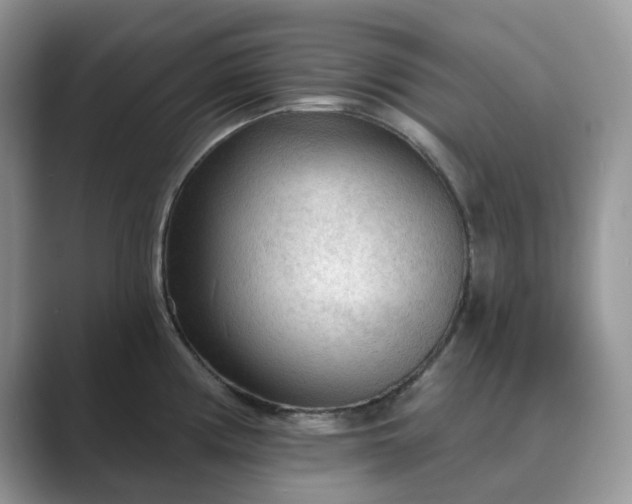 X0000089661194200707051524