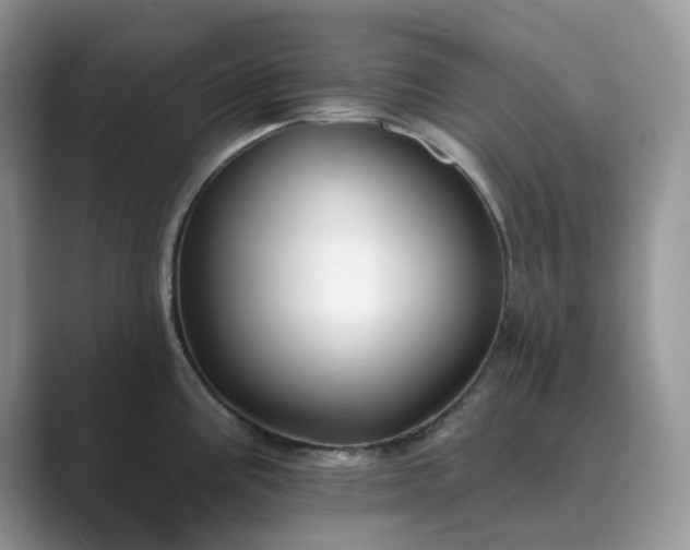 X0000089661195200707051524