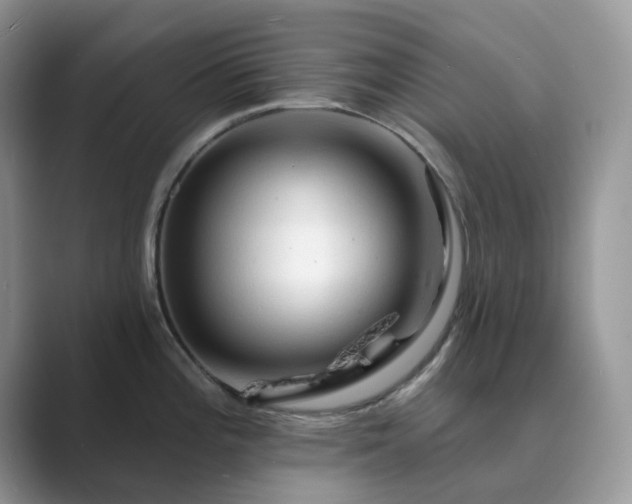 X0000089661196200707051524