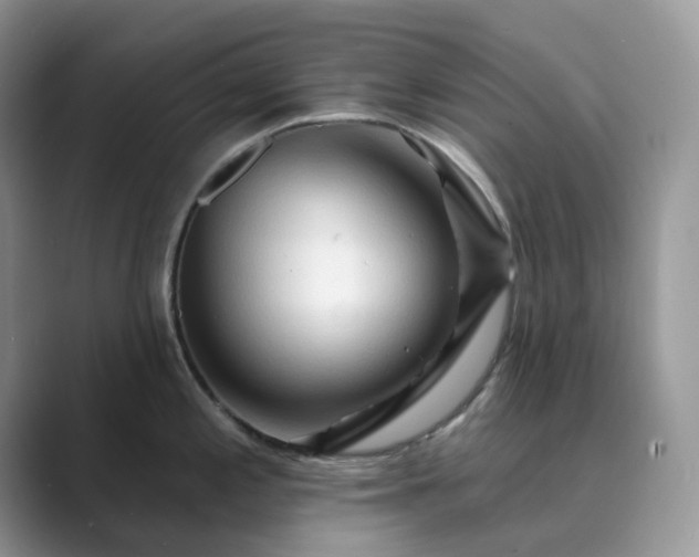 X0000089661197200707051524