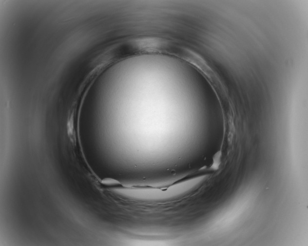 X0000089661198200707051524