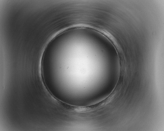 X0000089661199200707051524