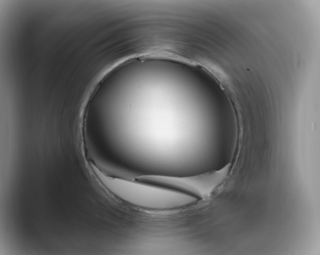 X0000089661200200707051524