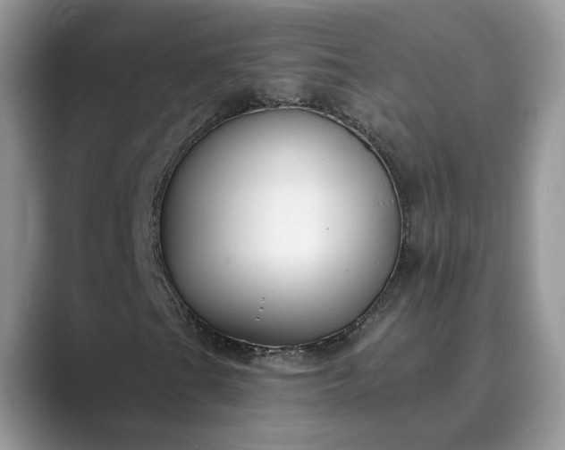 X0000089661201200707051523