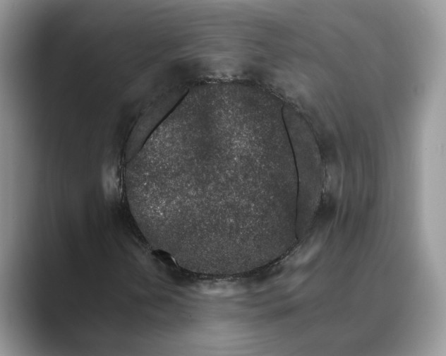 X0000089661202200707051523