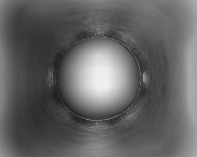 X0000089661203200707051523