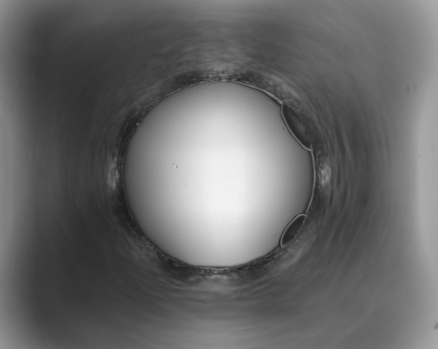 X0000089661204200707051523