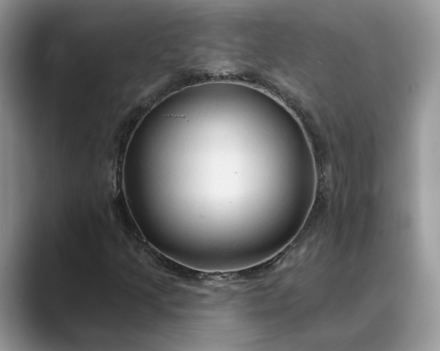 X0000089661205200707051523