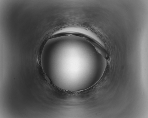 X0000089661206200707051523