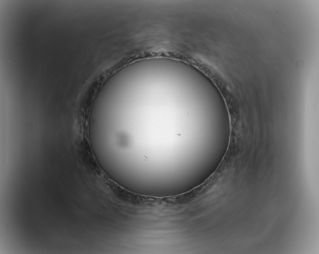 X0000089661207200707051523