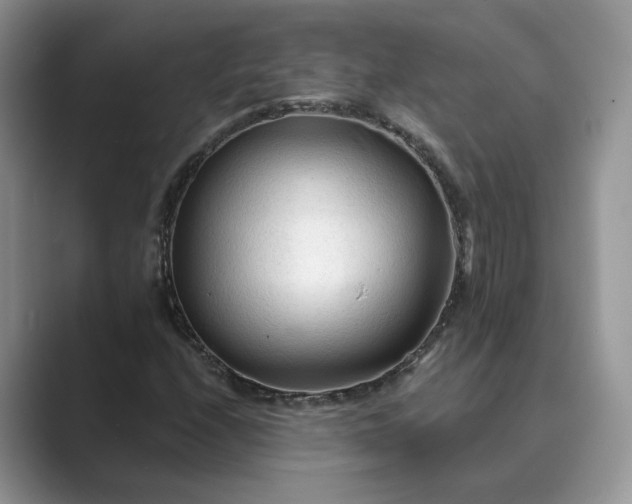 X0000089661208200707051523