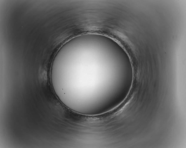 X0000089661209200707051523