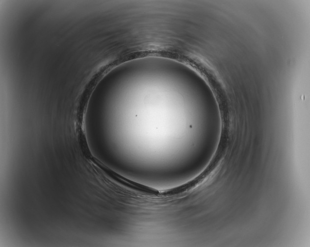 X0000089661210200707051523