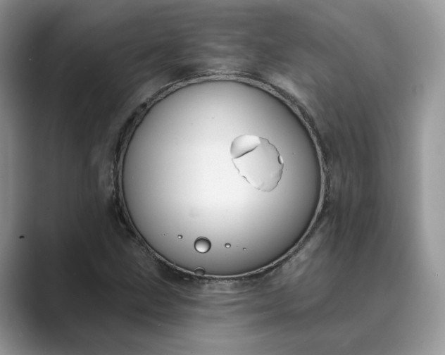 X0000089661211200707051523