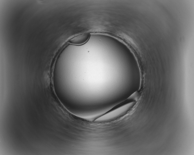 X0000089661212200707051523