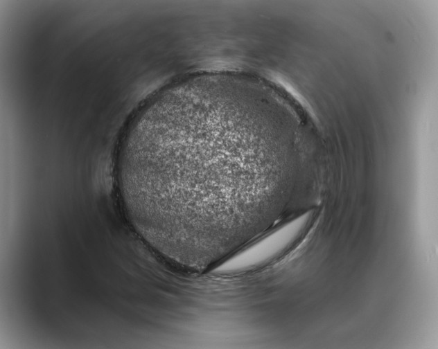 X0000089661213200707051523