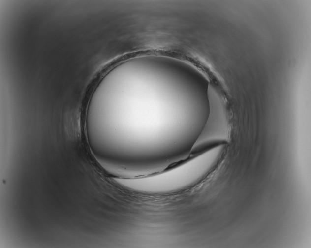 X0000089661214200707051523