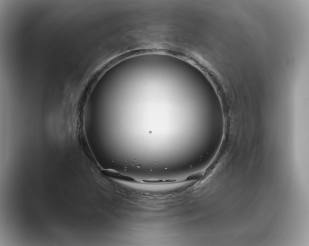 X0000089661215200707051523