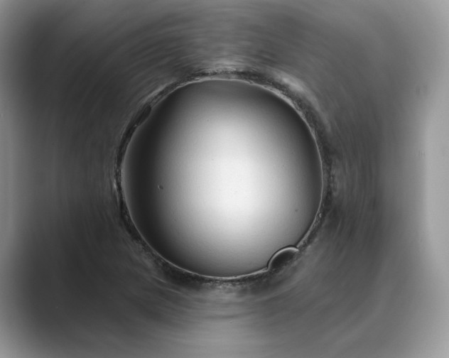 X0000089661217200707051523