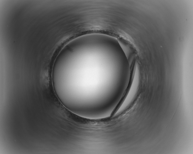 X0000089661218200707051523