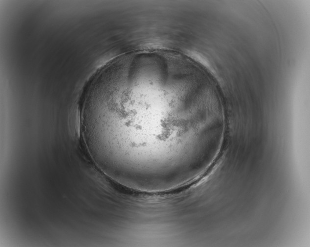 X0000089661219200707051523