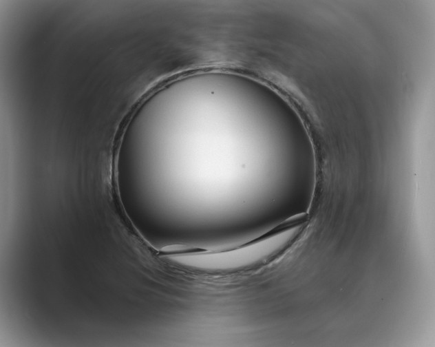 X0000089661220200707051523