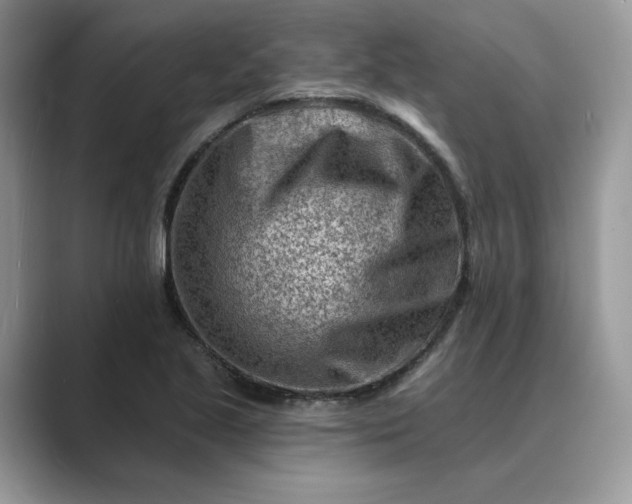 X0000089661221200707051523