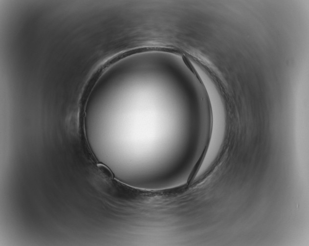 X0000089661222200707051523