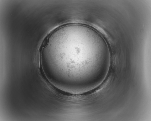 X0000089661223200707051523