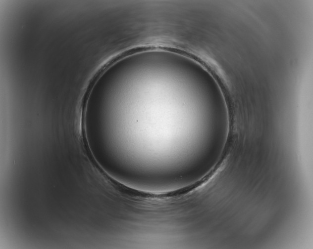 X0000089661224200707051523