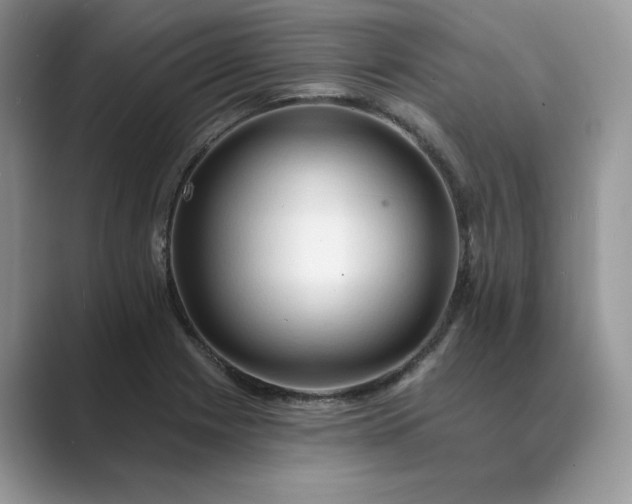 X0000089661225200707051523