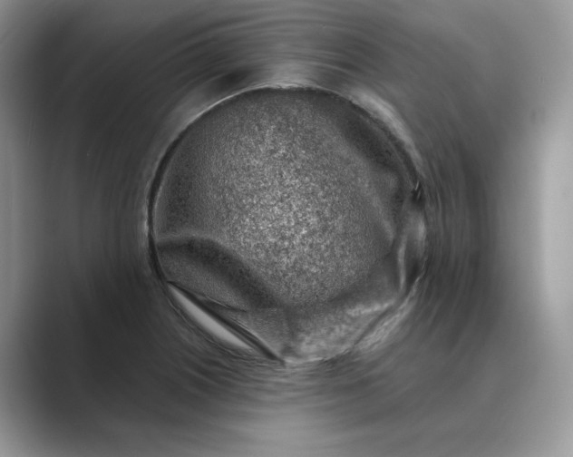 X0000089661226200707051524