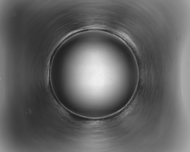 X0000089661228200707051524