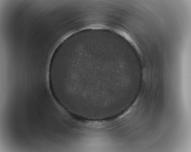 X0000089661229200707051524