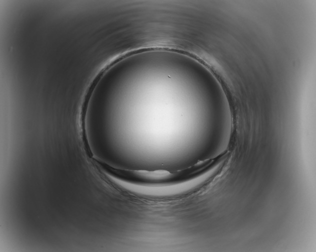 X0000089661230200707051524