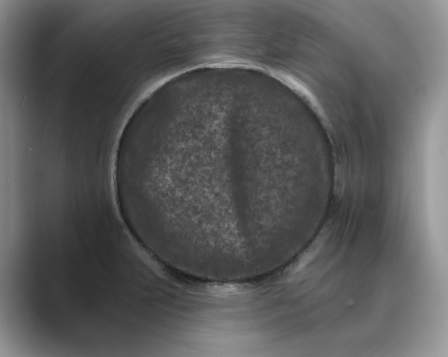 X0000089661231200707051524