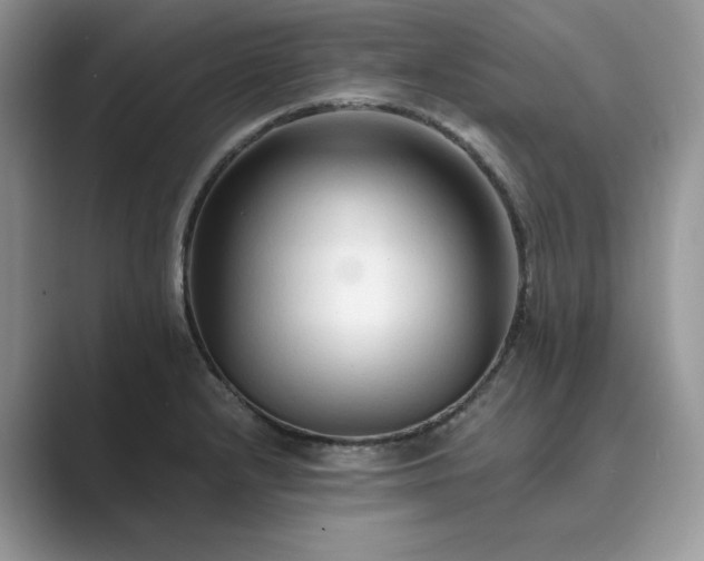 X0000089661232200707051524