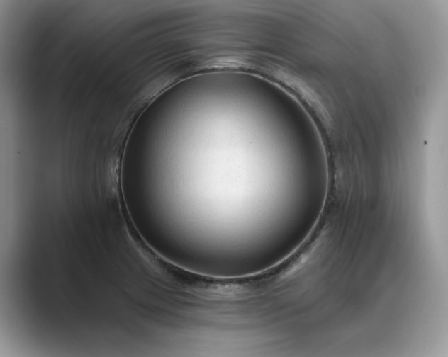 X0000089661233200707051524