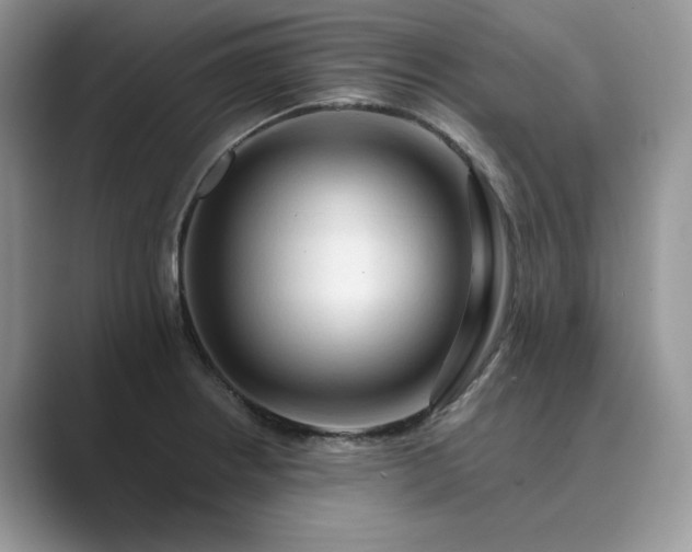 X0000089661234200707051524