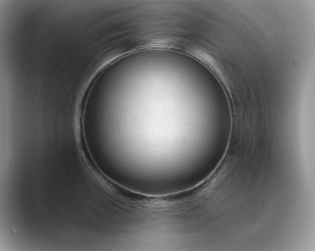 X0000089661235200707051524