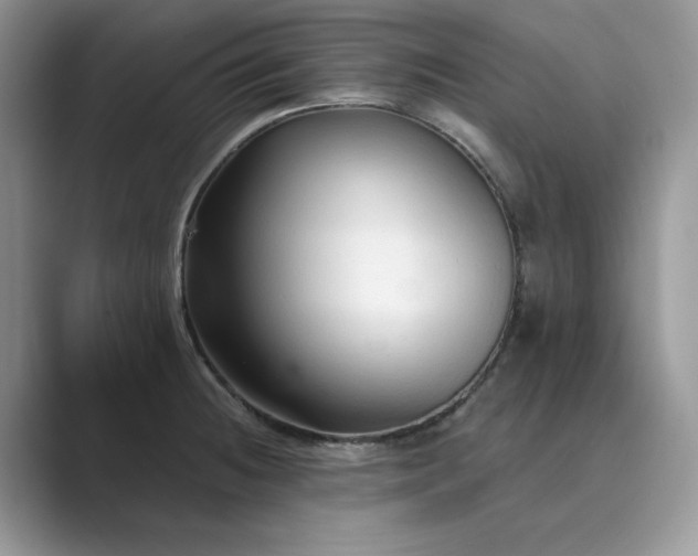 X0000089661236200707051524