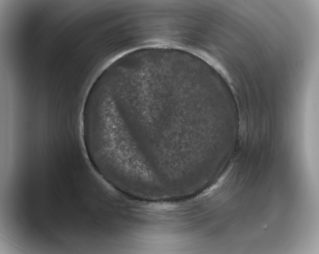 X0000089661239200707051524