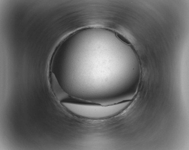 X0000089661240200707051524