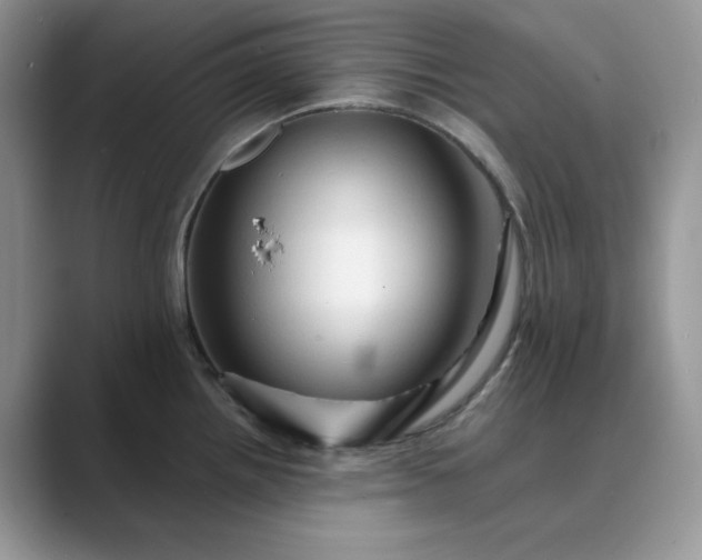 X0000089661242200707051524